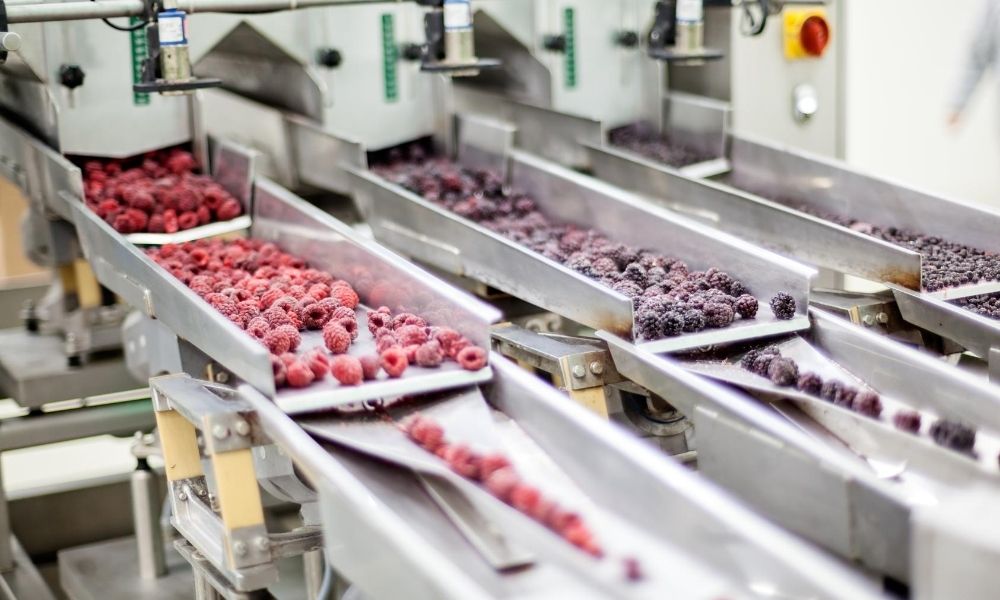 Importance of Magnetic Separators in Food Processing